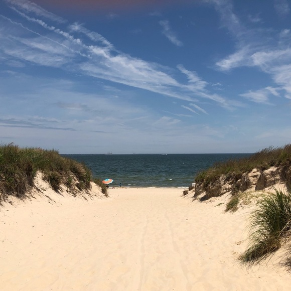 Posh Ambassador 😍 - Picture 2 of 6